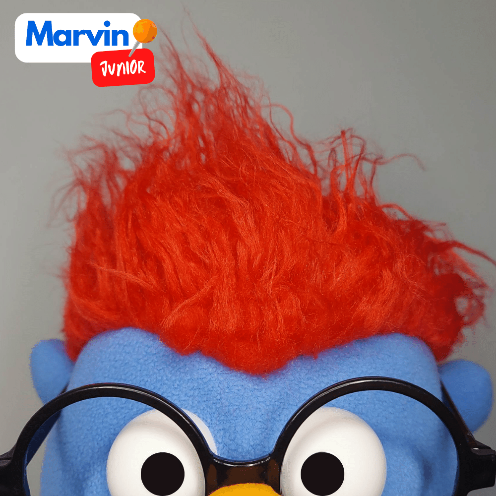 Pubbet 10: 'Marvin Junior' (2023) SOLD OUT