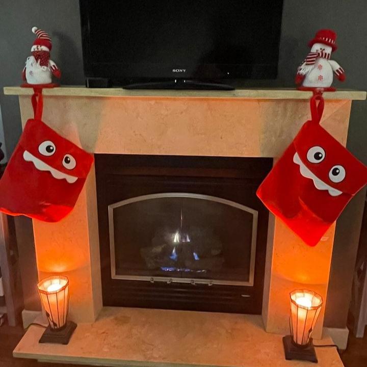 Pubbets 12 x 18" Padded Christmas Tote