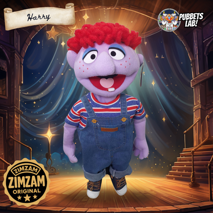 Harry from the Holler – A ZimZam Original