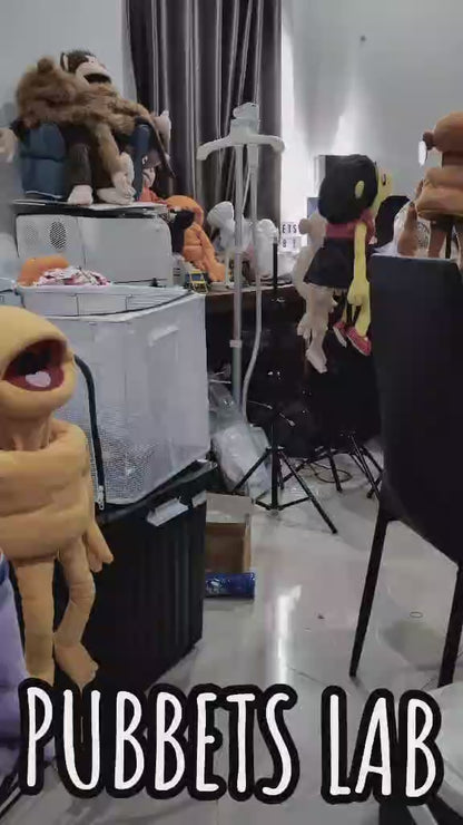 Harry from the Holler – A ZimZam Original